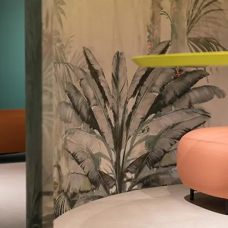 Elide Design 아시시